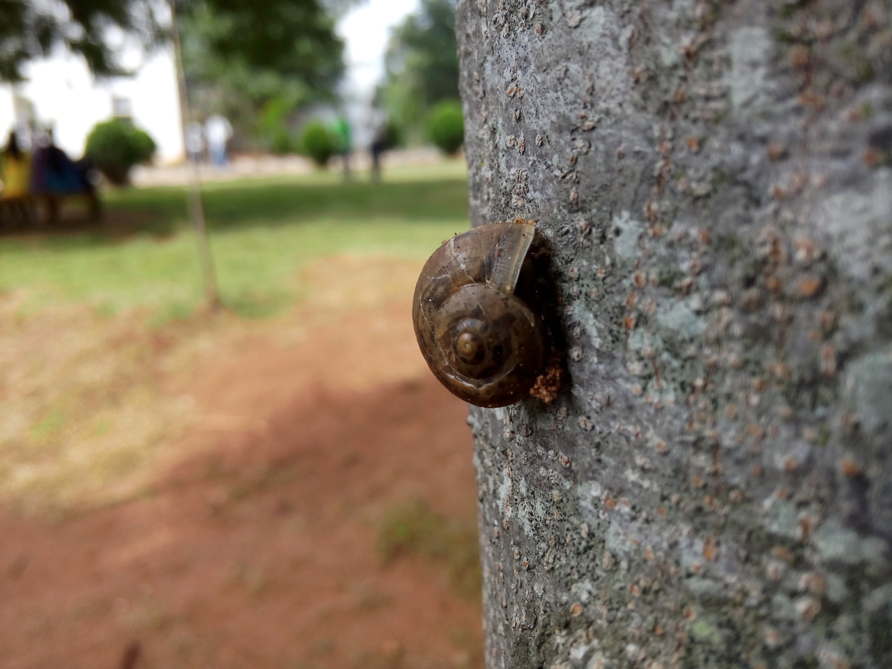 Little things that may be slowly killing you
