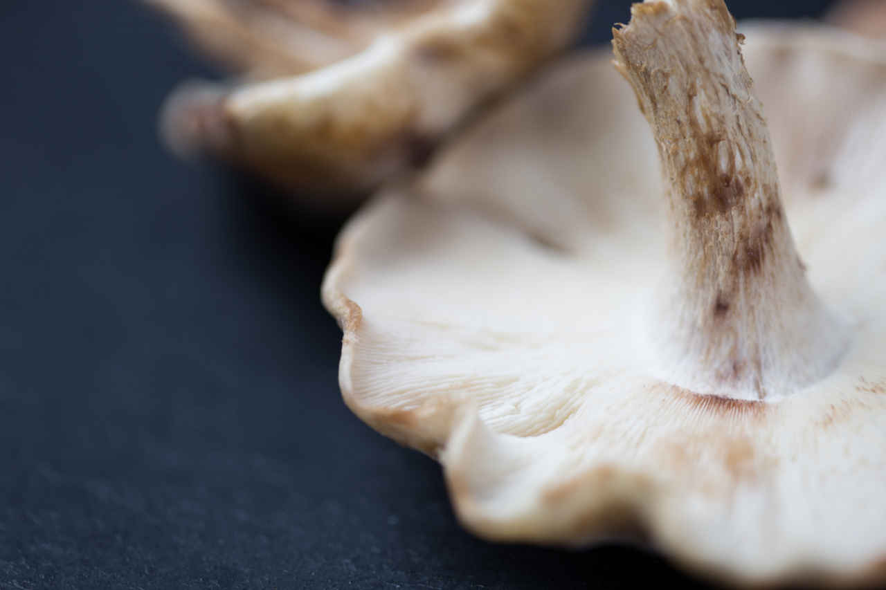 Cooking techniques to maximize the health benefits of mushrooms