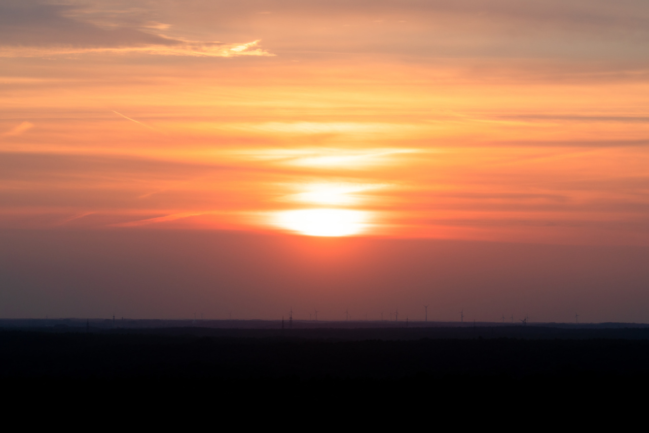 Surviving the Summer: Tips to Prevent Overexposure to the Sun
