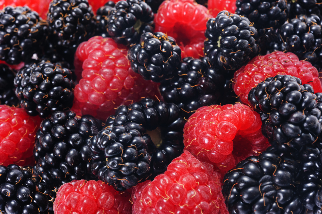 From Orchard to Health: How Fruits Benefit Cancer, Diabetes, Memory, and Cholesterol Levels