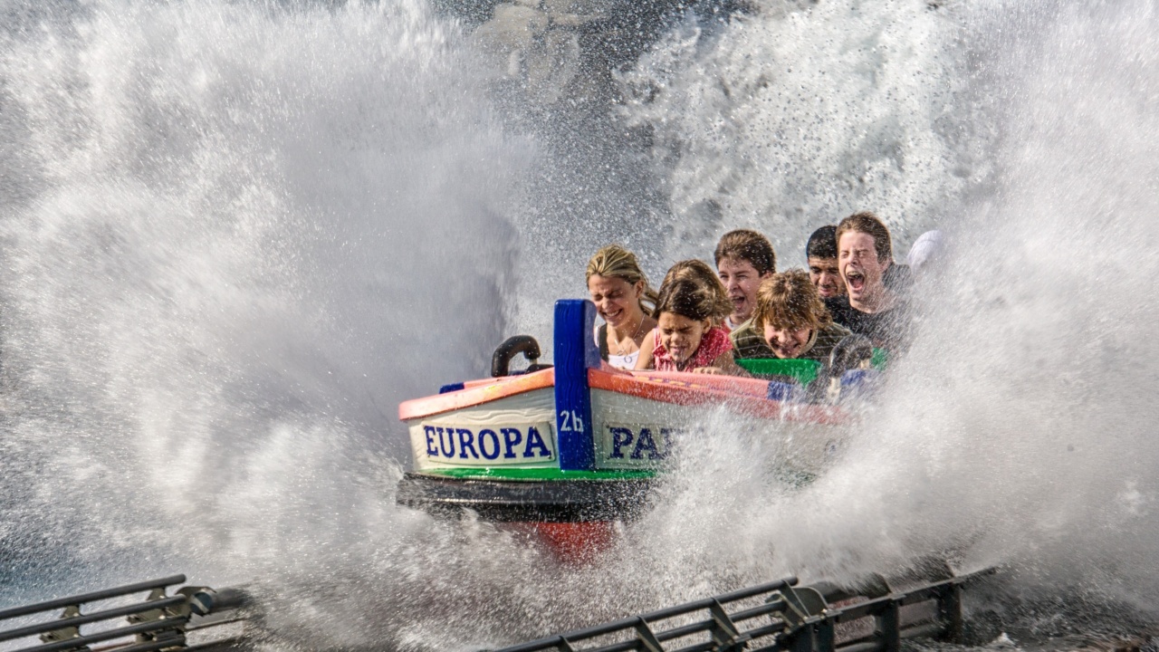 The Rollercoaster of Bipolar Disorder: An Insight