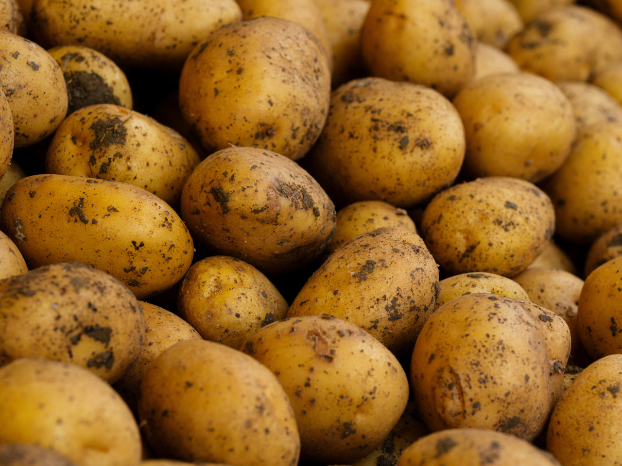 Why do we include potatoes in so many meals?