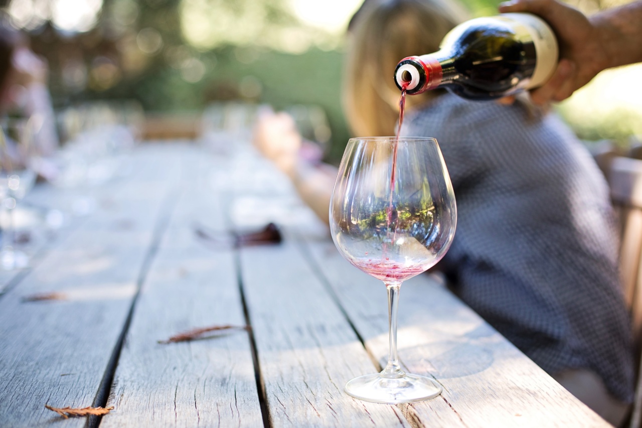 Wine Tasting for Beginners: Learn the Basics with Wine Plus