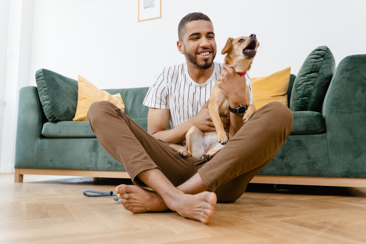 Men’s beards are dirtier than a dog’s fur
