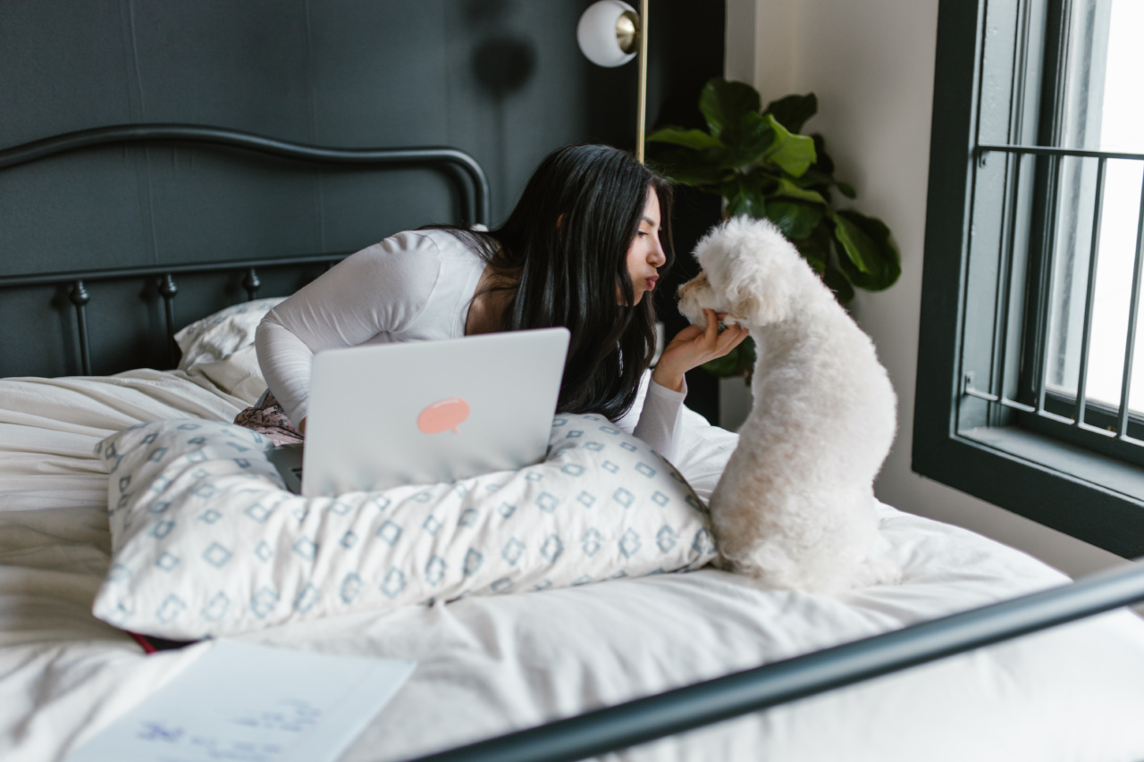 Can you catch diseases from kissing dogs?