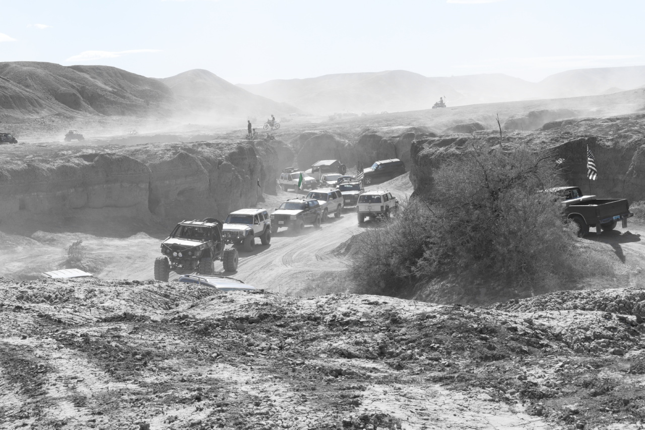 Probiotics vs. Prebiotics: What’s the Difference?