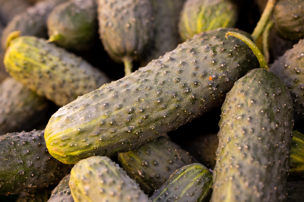 Don’t peel your cucumbers… scientists say it!