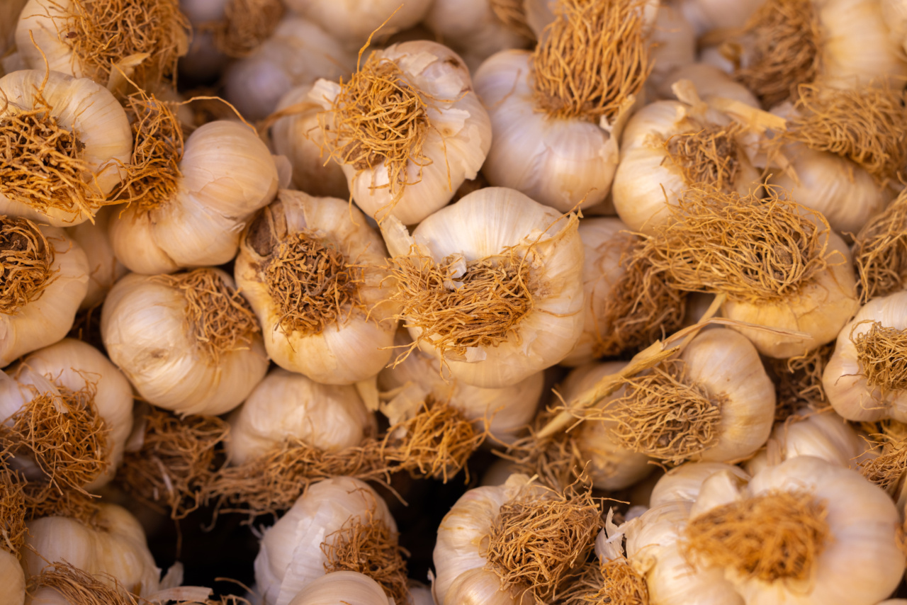 The Roots of Vitamin B12 Deficiency: Uncovering the Causes