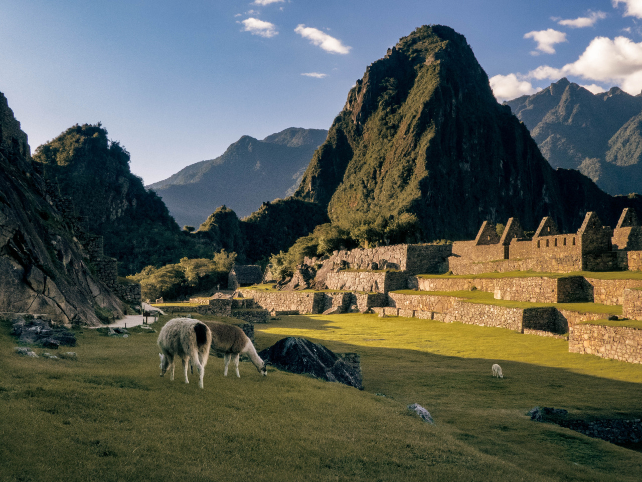 How did ancient civilizations maintain good oral hygiene?