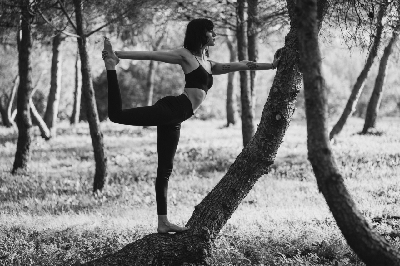 Oceanic Vistas or Forest Therapy: Which One Is More Effective for Stress Relief?