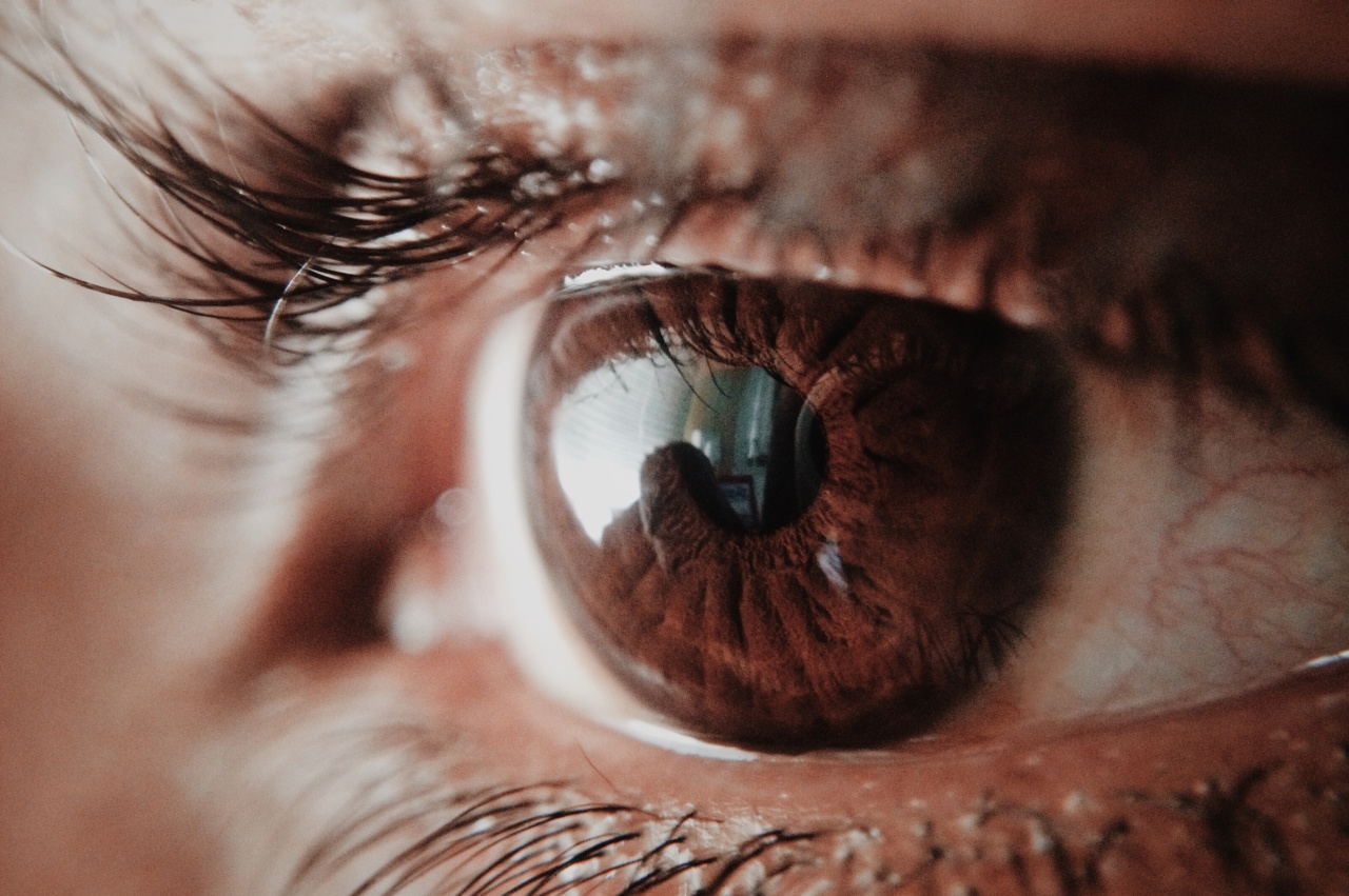 Unbelievable Video: How does a person see through their eyes