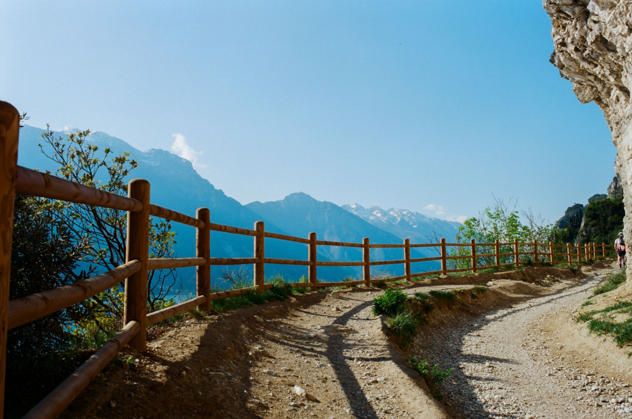 Summertime Blues: Ways to Make Your Pregnancy Easier