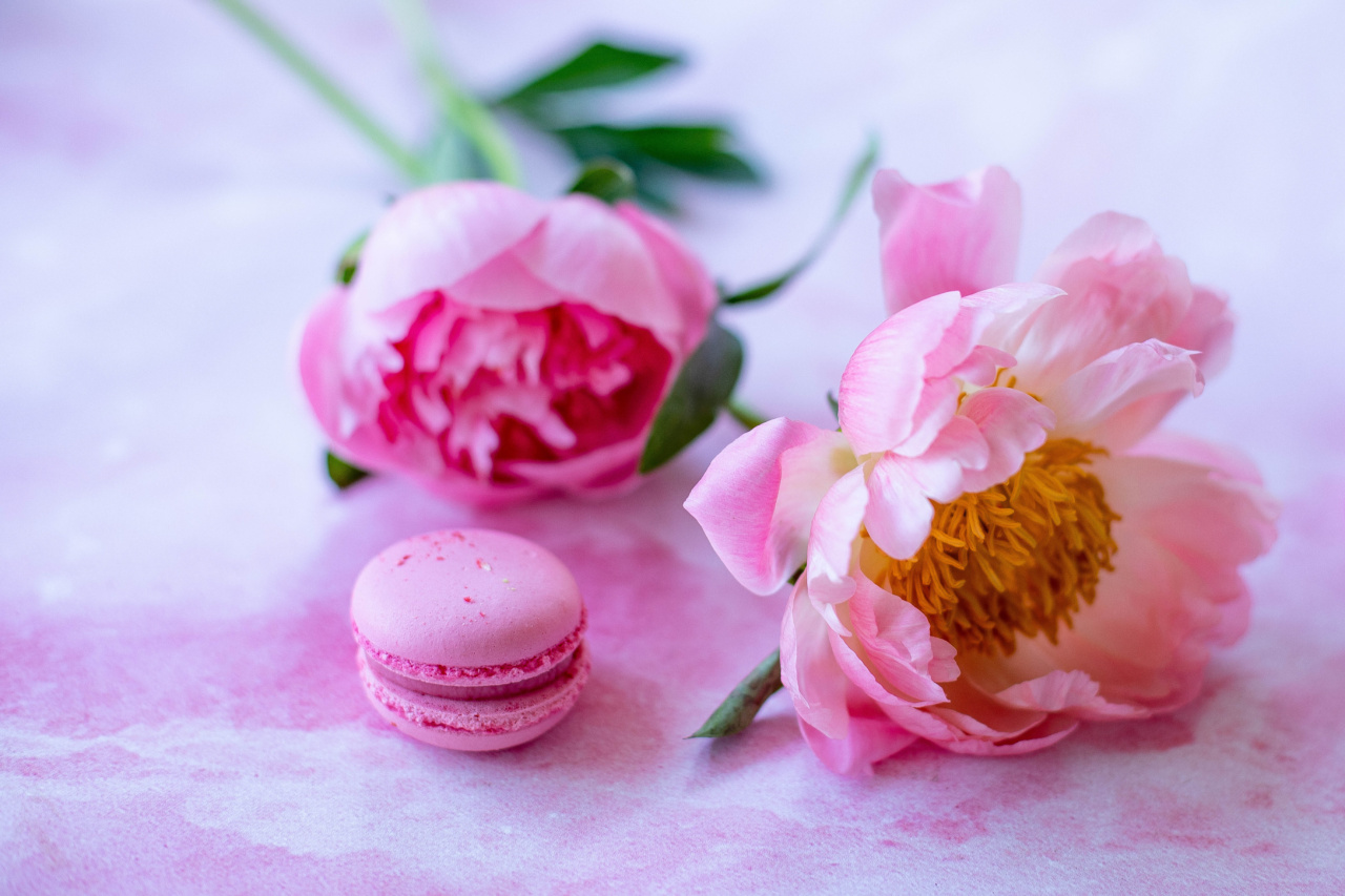 The Sweet Smells of Summer
