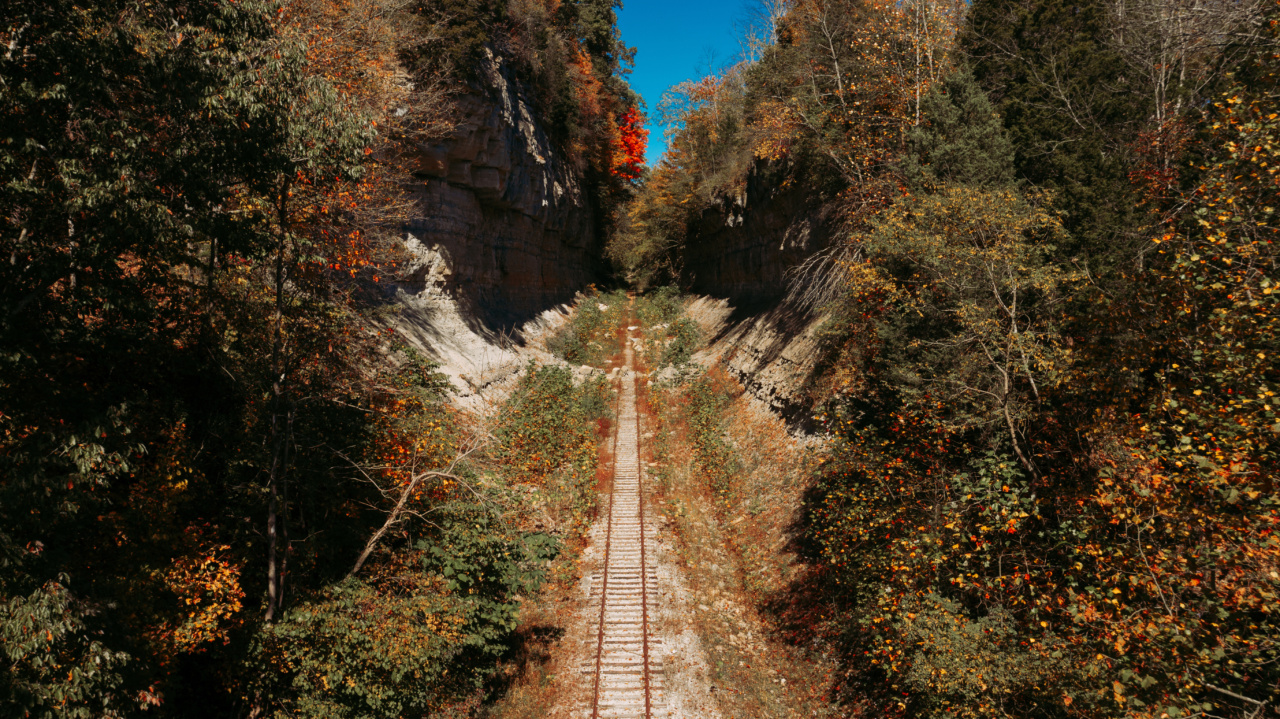 The imperative trip pharmacy and … forgotten