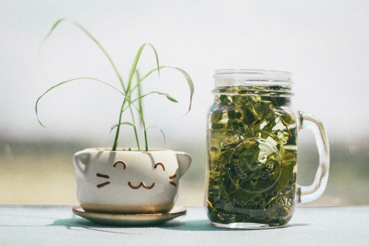 Herbal Beverages for Common Ailments