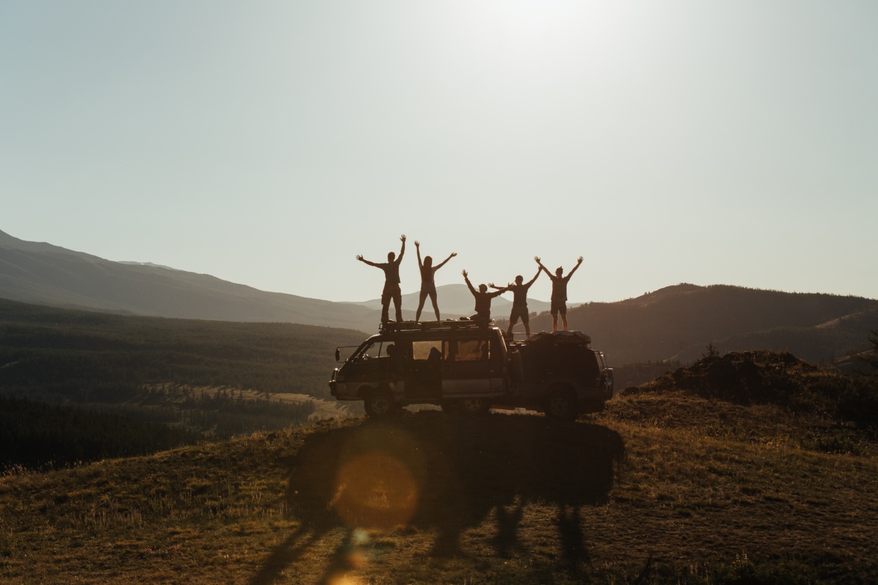 The Pursuit of Joy