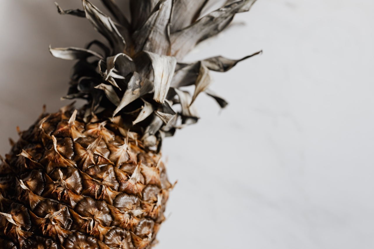 Top 10 Detox Foods for Post-Summer Cleanse