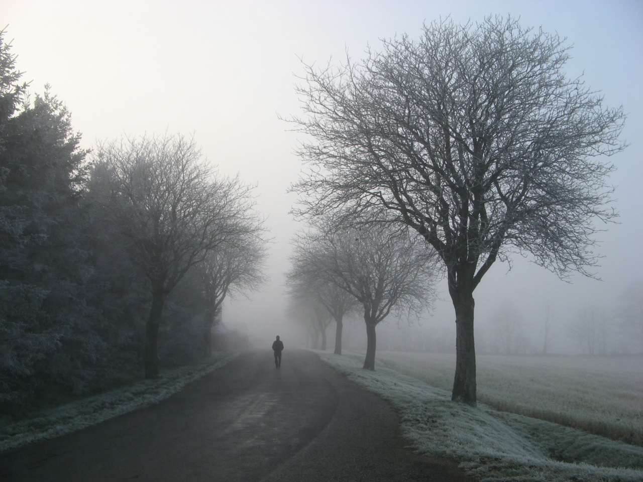 Walking for Fitness: How Much Do You Need to Burn off an Ice Cream Stick?