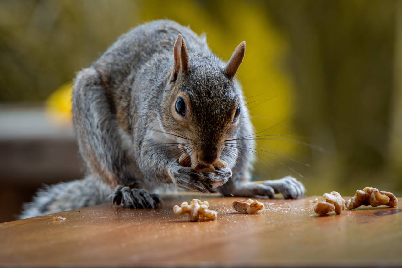 Avoid These Nuts for a Slimmer You