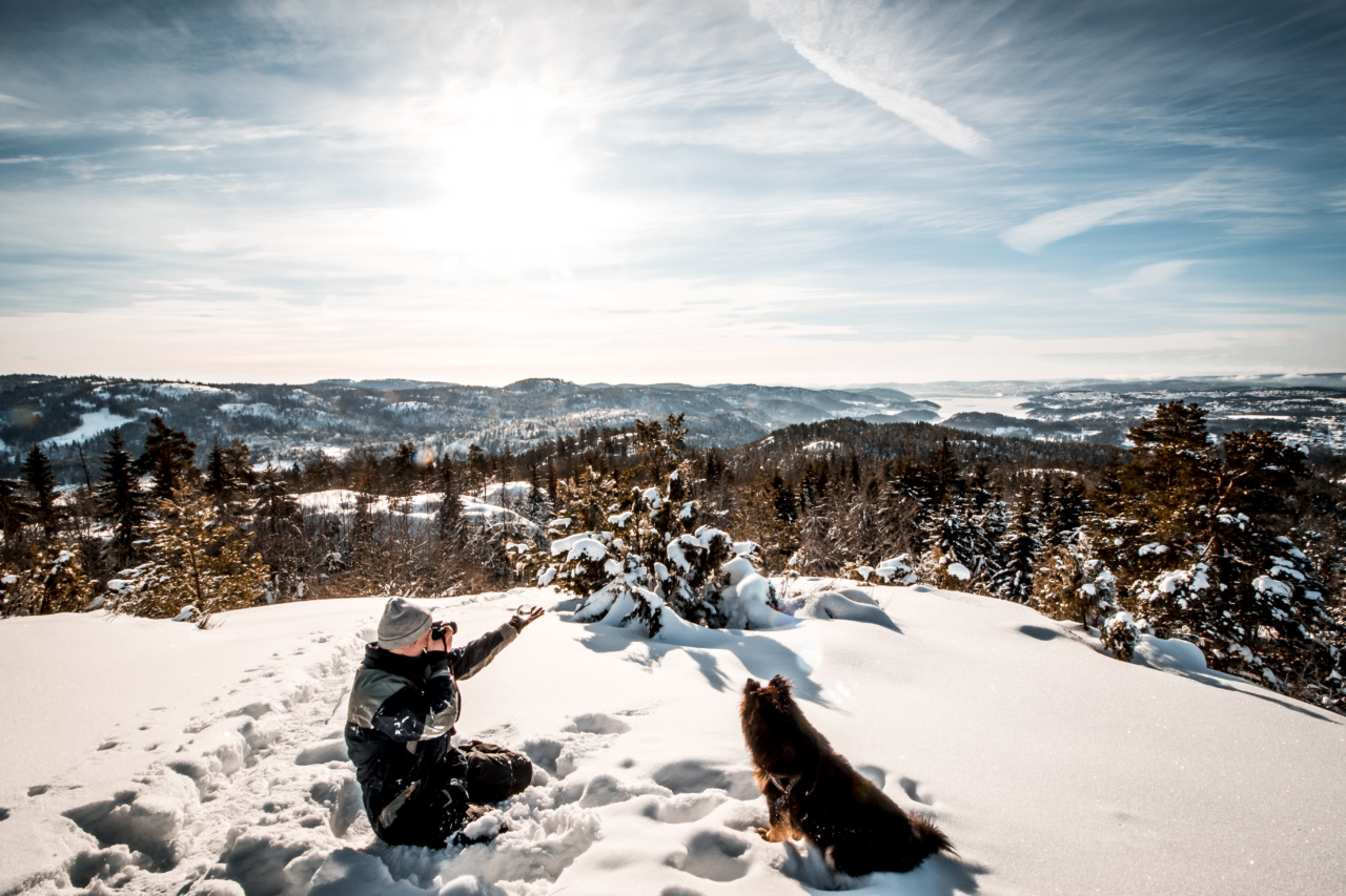 Keeping Your Dog Comfortable when it’s Cold Outside