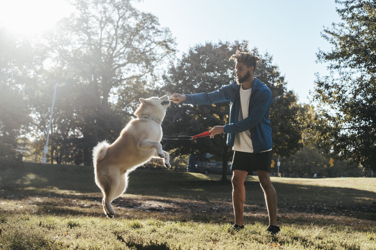 Dogs jump to action when bear attacks their owner