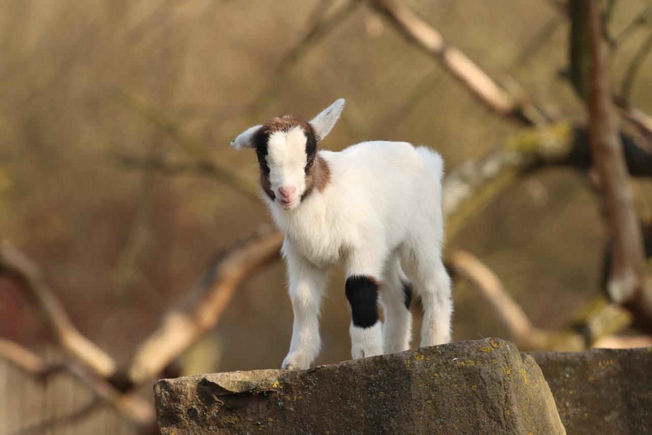 Outdoor ear infections: When can they become life-threatening?