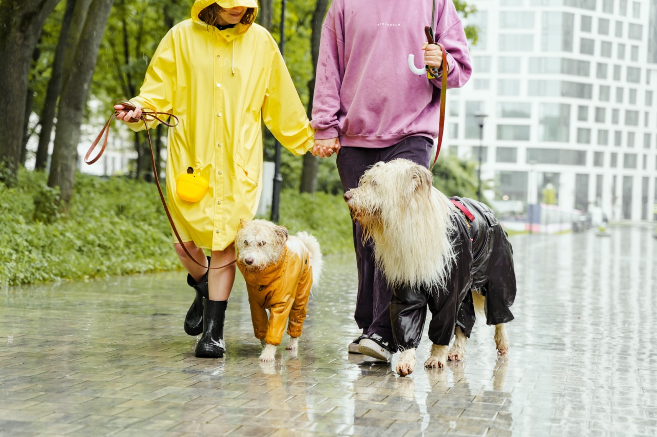 Days of Dogs: Can other animals spread diseases?