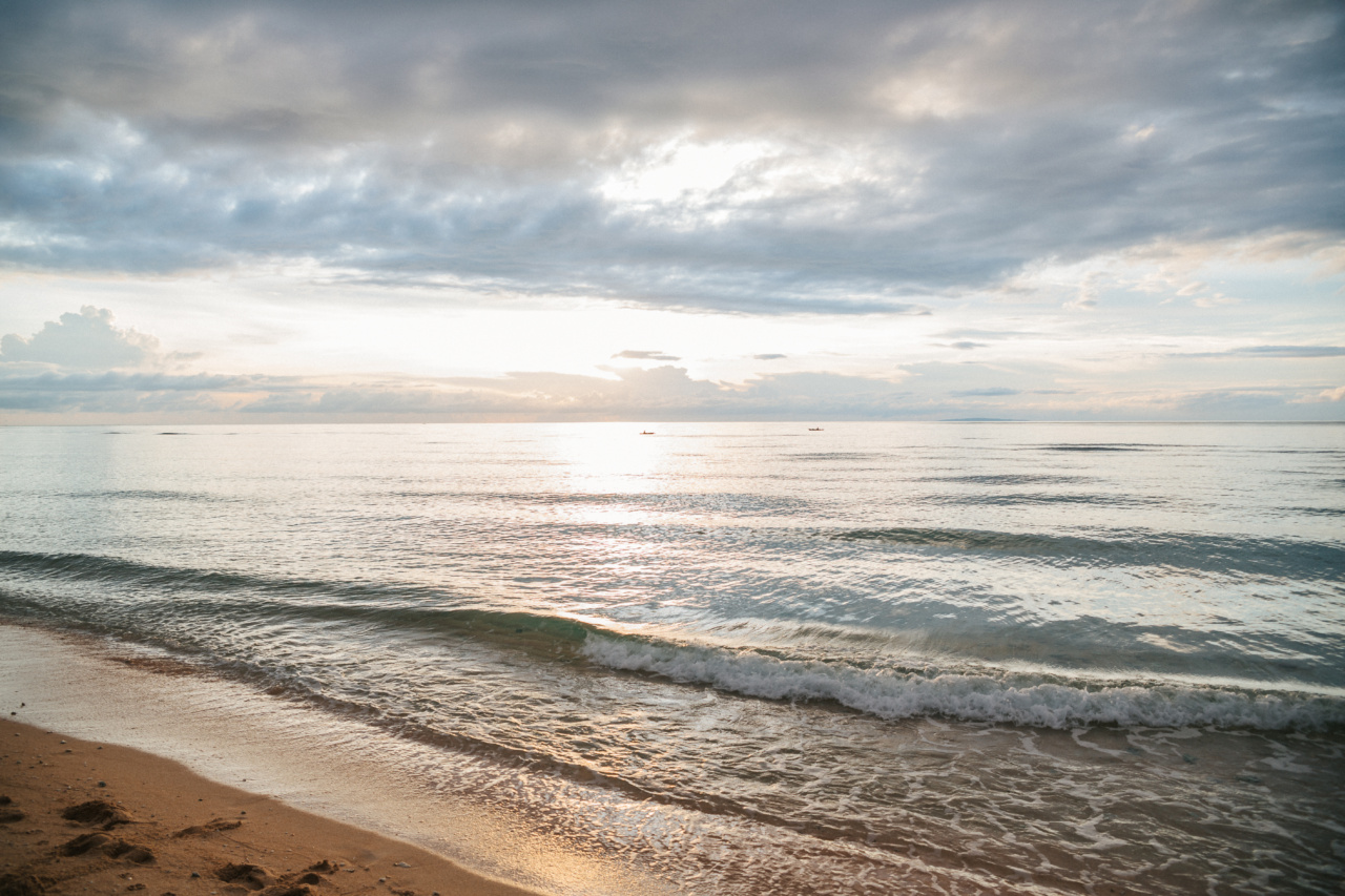 Early to Rise: How Waking Up Early Boosts Brain Power