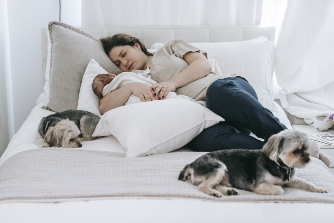 Does allowing your pet to sleep in your bed affect your sleep?