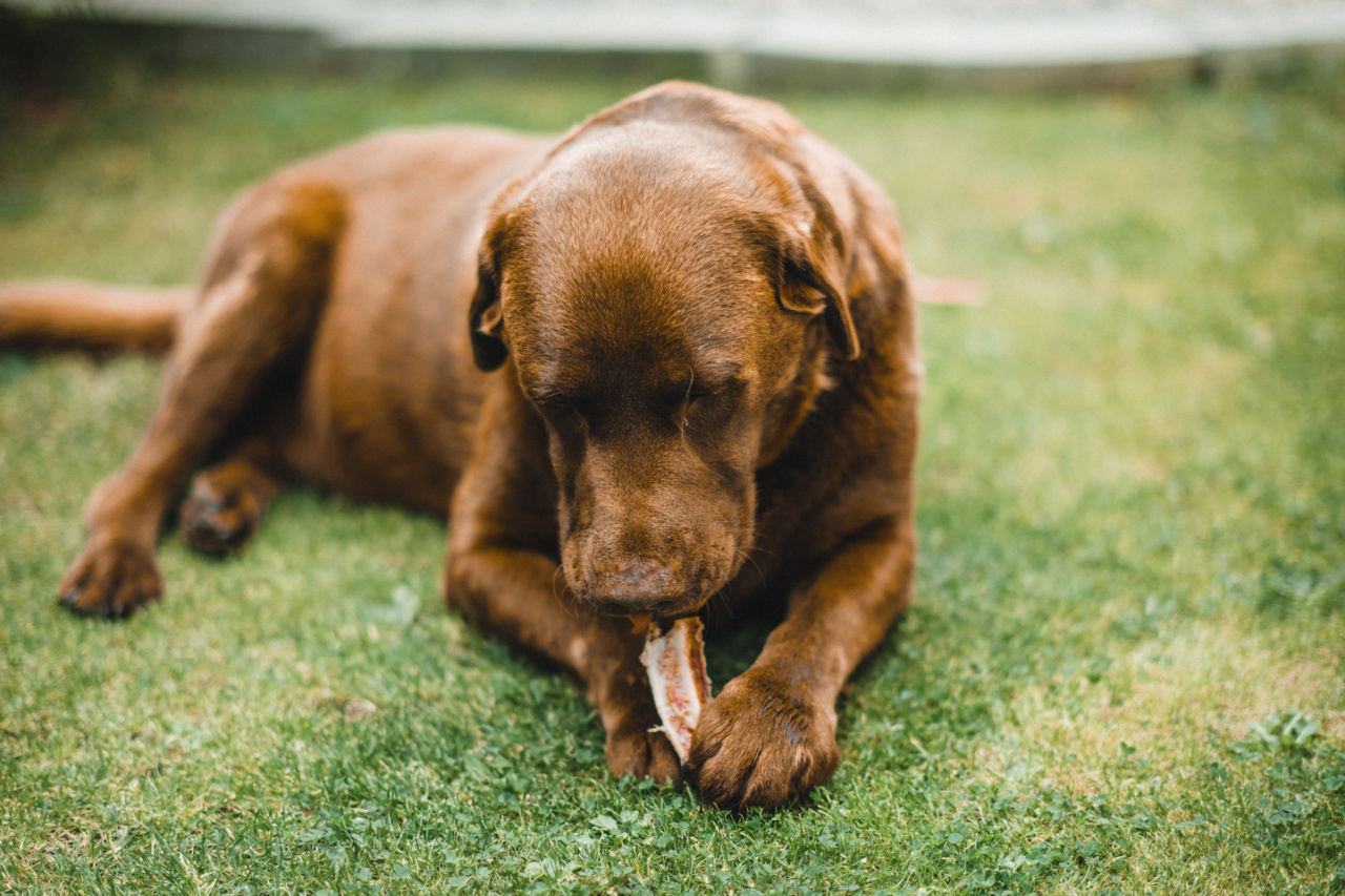 Eating for Bone Health: The Dos and Don’ts