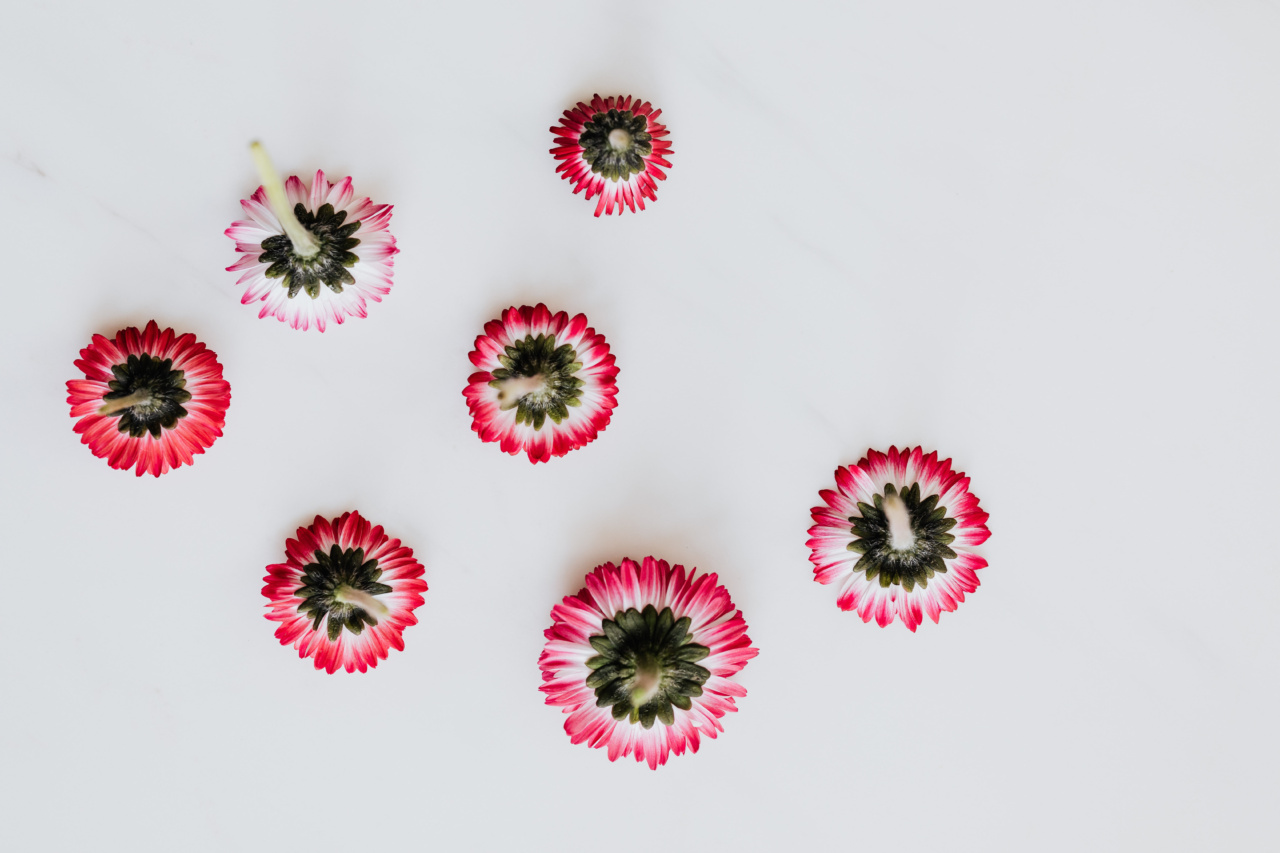 Spring Allergies Got You Down? Try These Solutions
