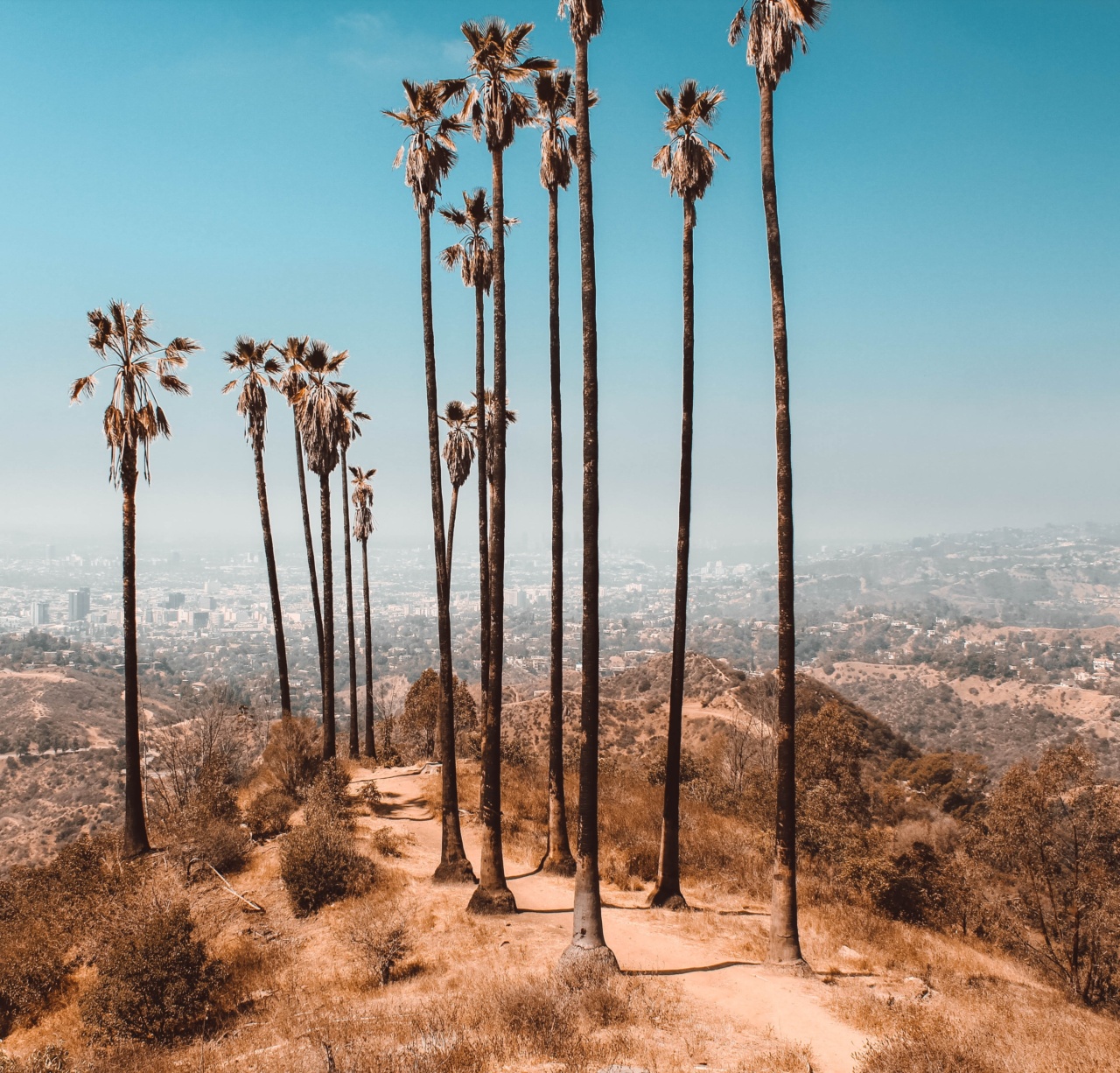 The Heat Is On: Understanding Infarction and High Temperatures