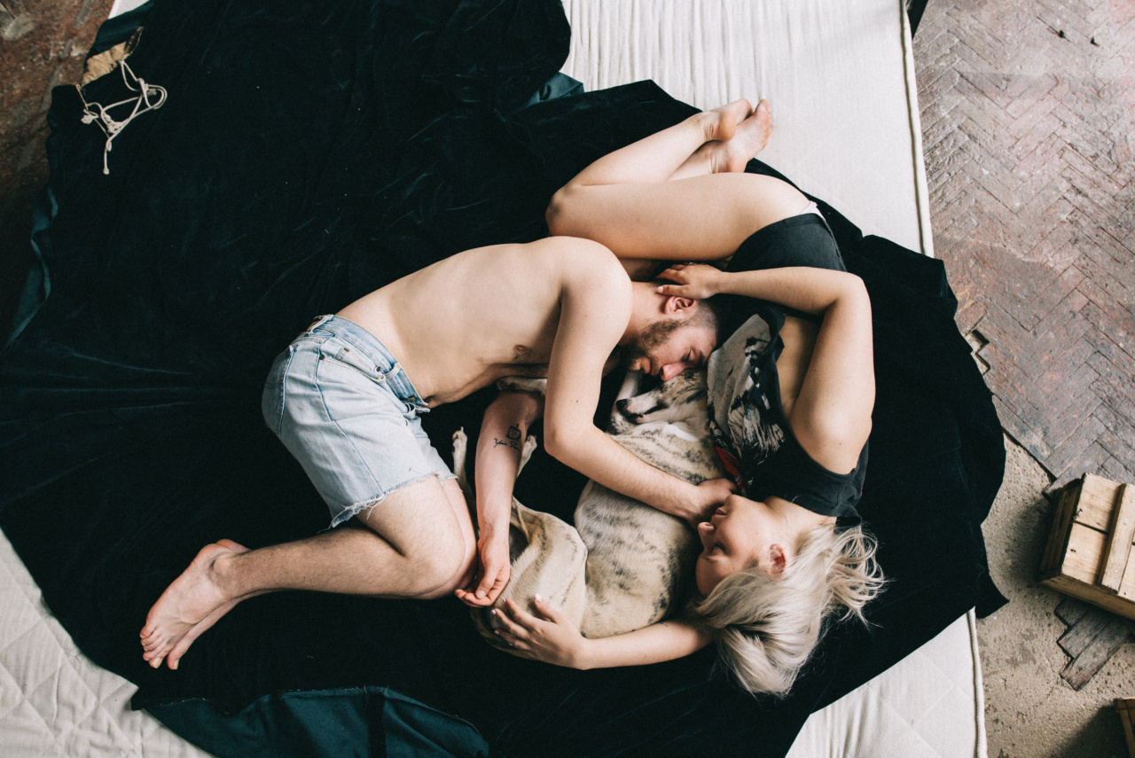 Why sleeping with a dog can lead to better quality sleep