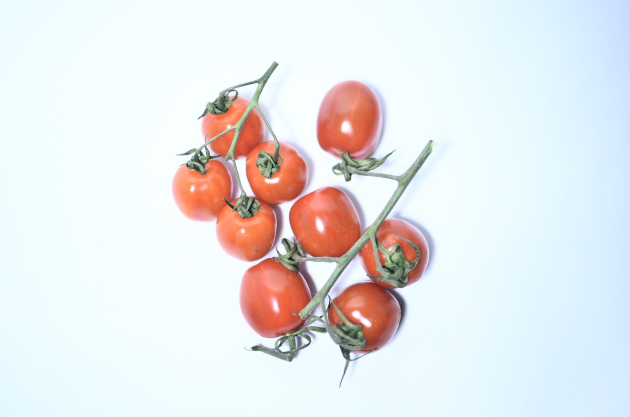 Year-round tomato bliss