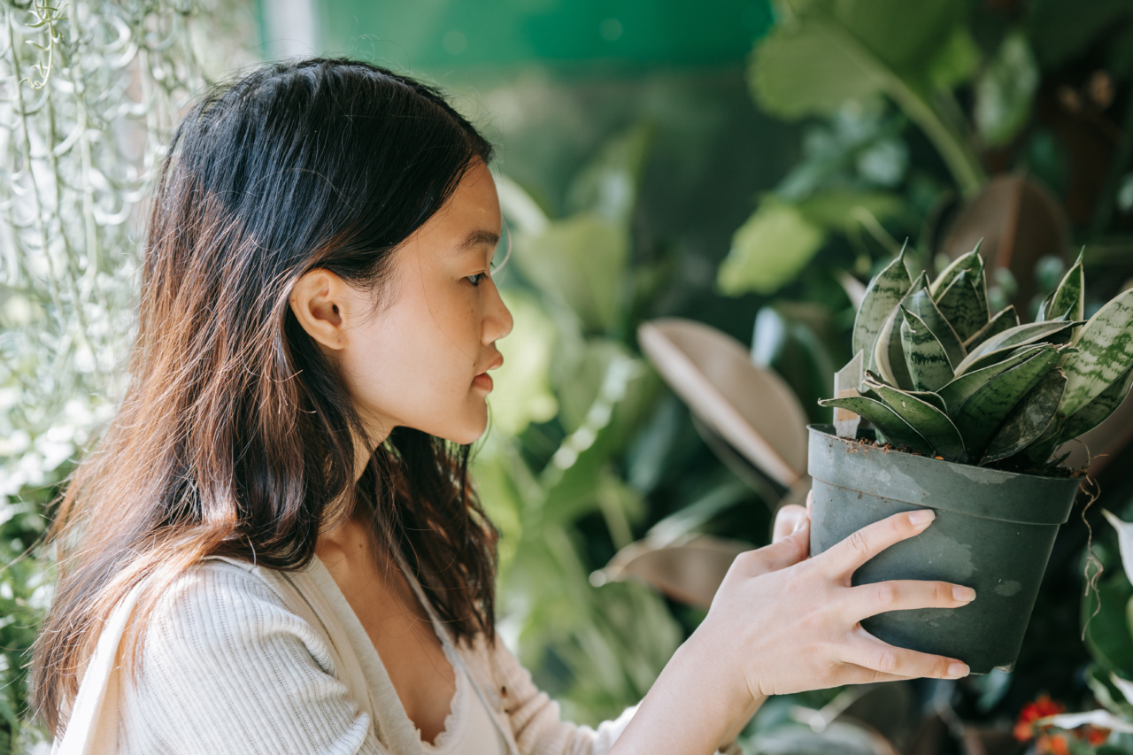 How to make healthier choices every day