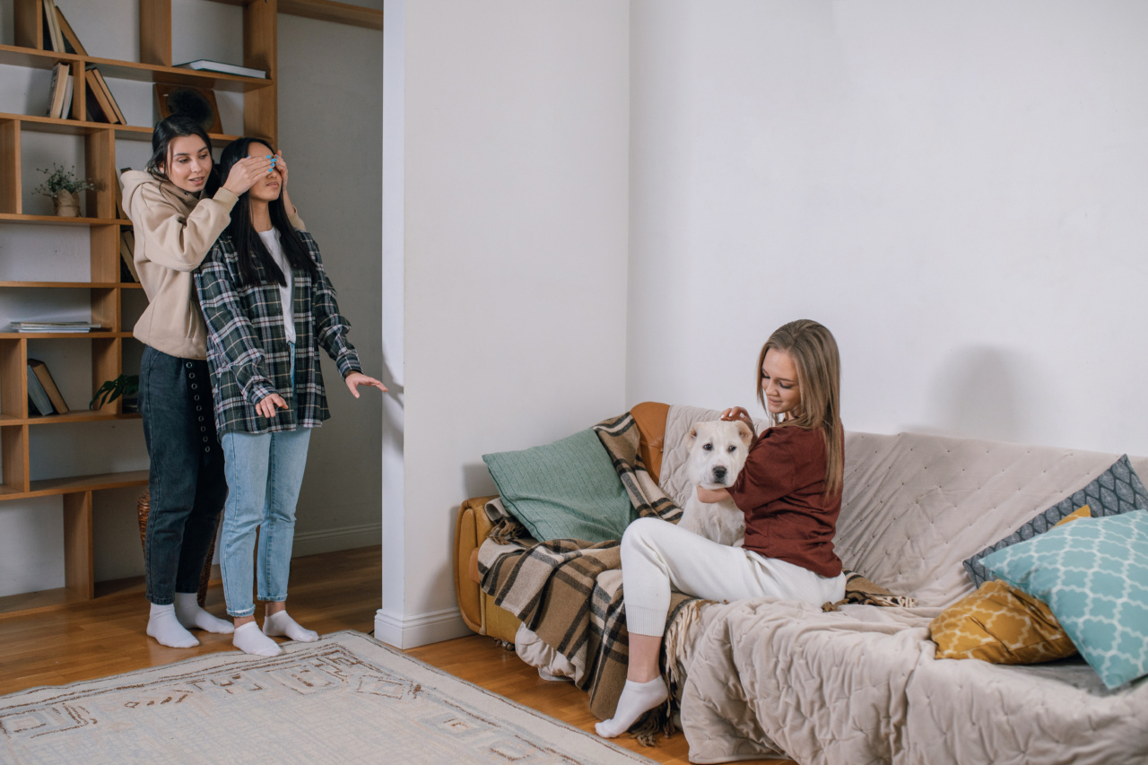 Picking up after your dog – understanding the laws and penalties