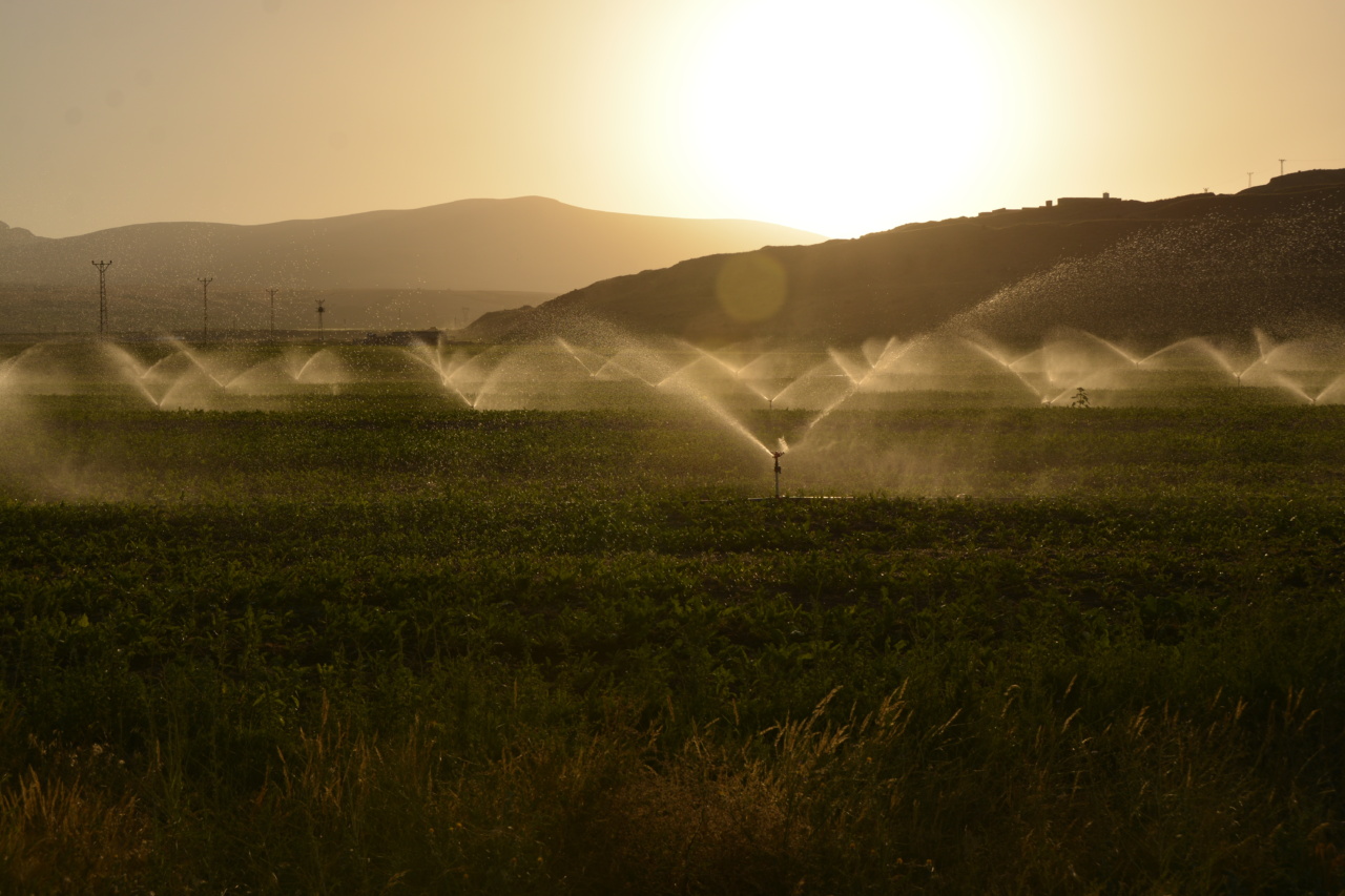 Undermining Your Health: Unconscious Irrigation Habits
