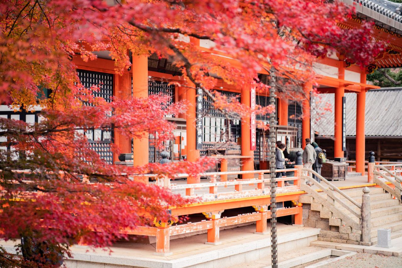 Transform Yourself This Fall: 5 Easy Detox Steps