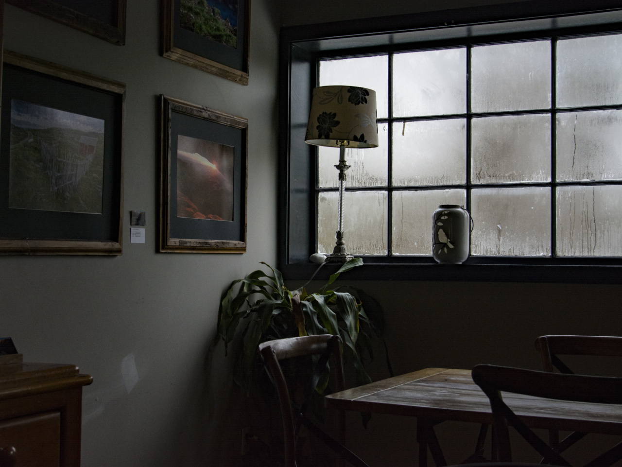 Combatting Humidity: Tips to Eliminate Moisture in Your Home