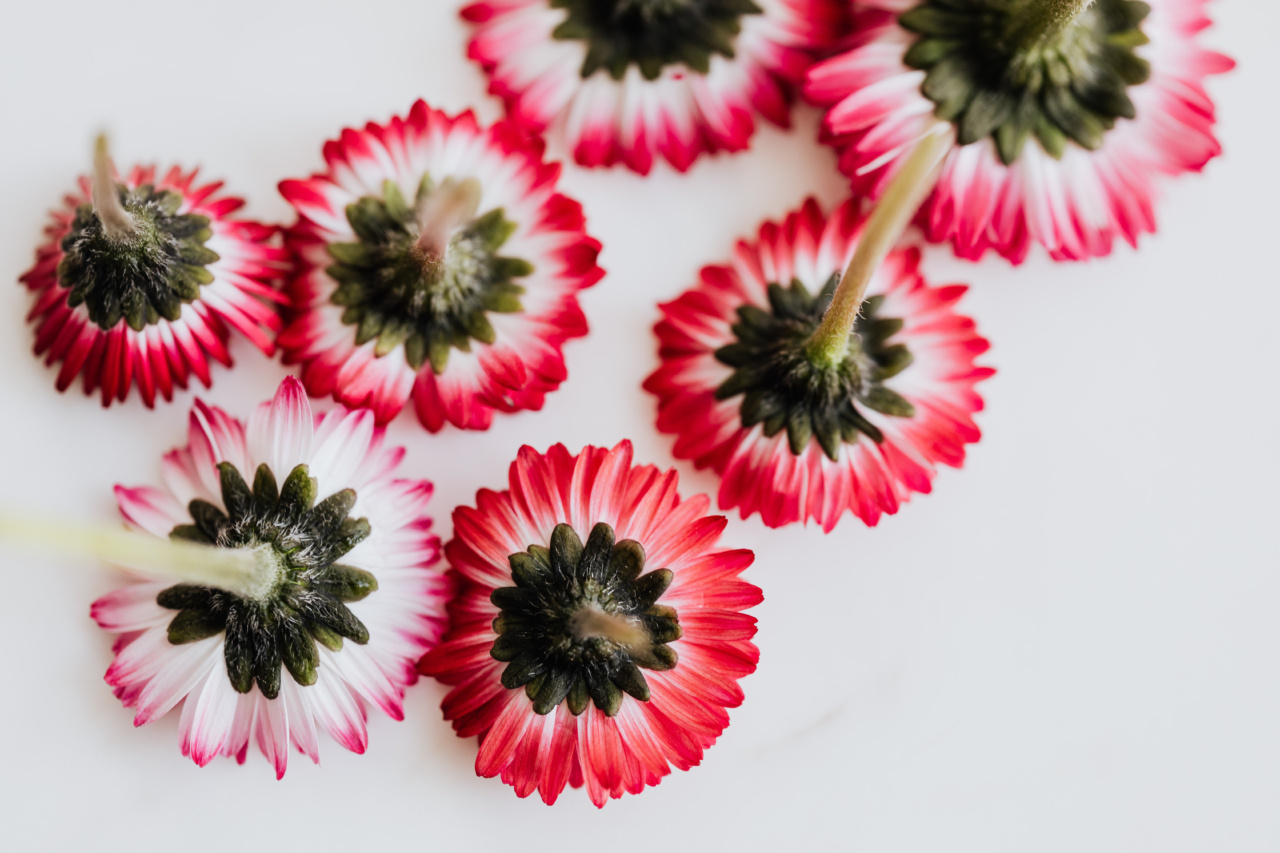 Trim Down for Summer with These Simple Tips