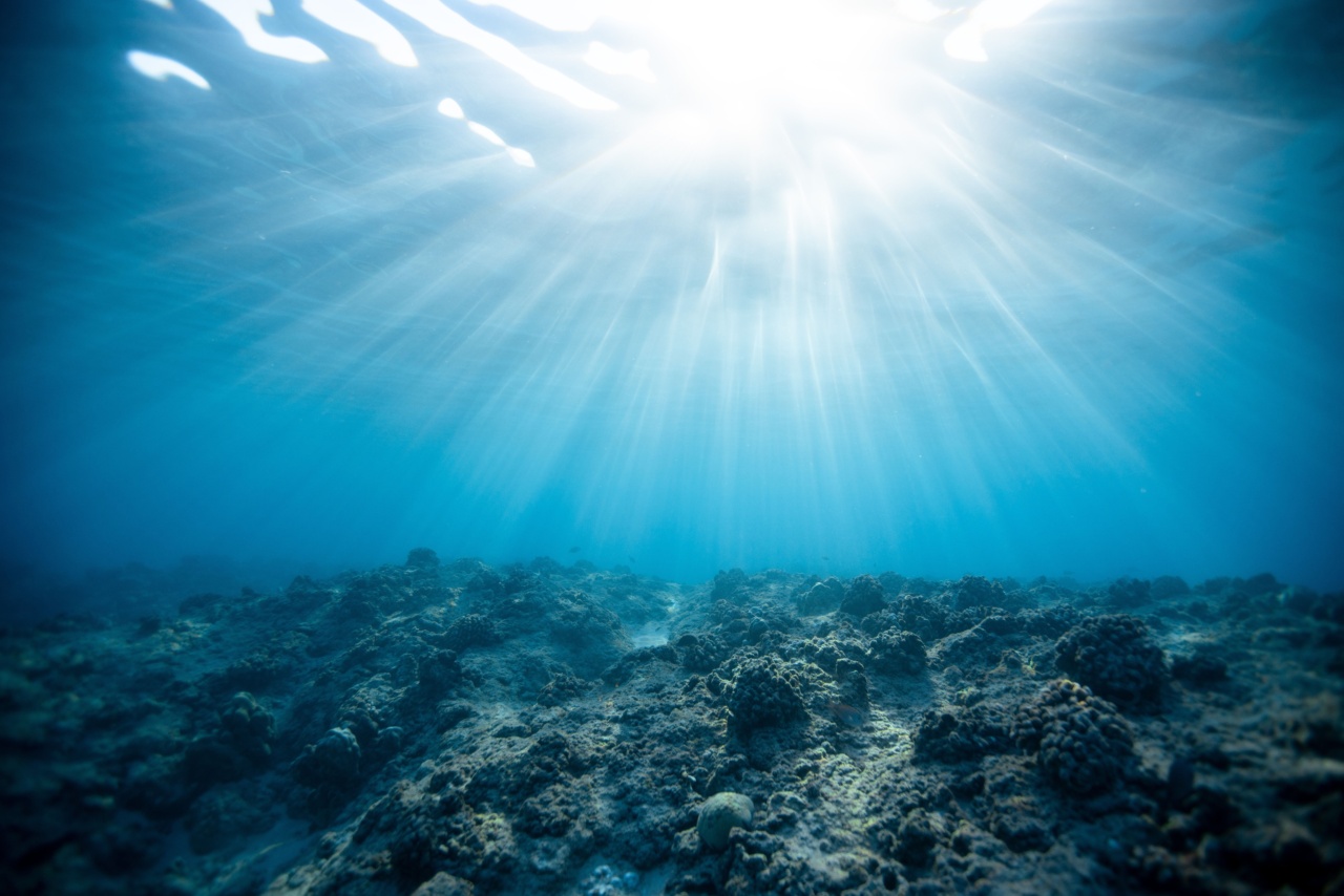 The deep maroon light that influences blood pressure