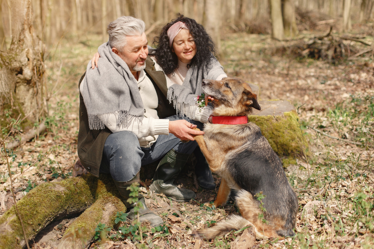 How to ensure a stress-free vacation with your dog