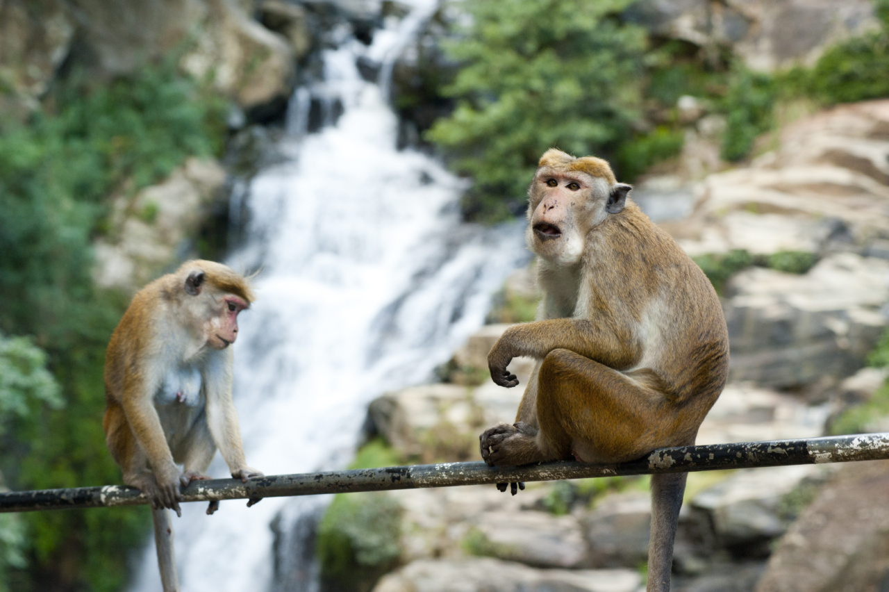What are the 3 Biggest Risks Facing Waterfall Projects?