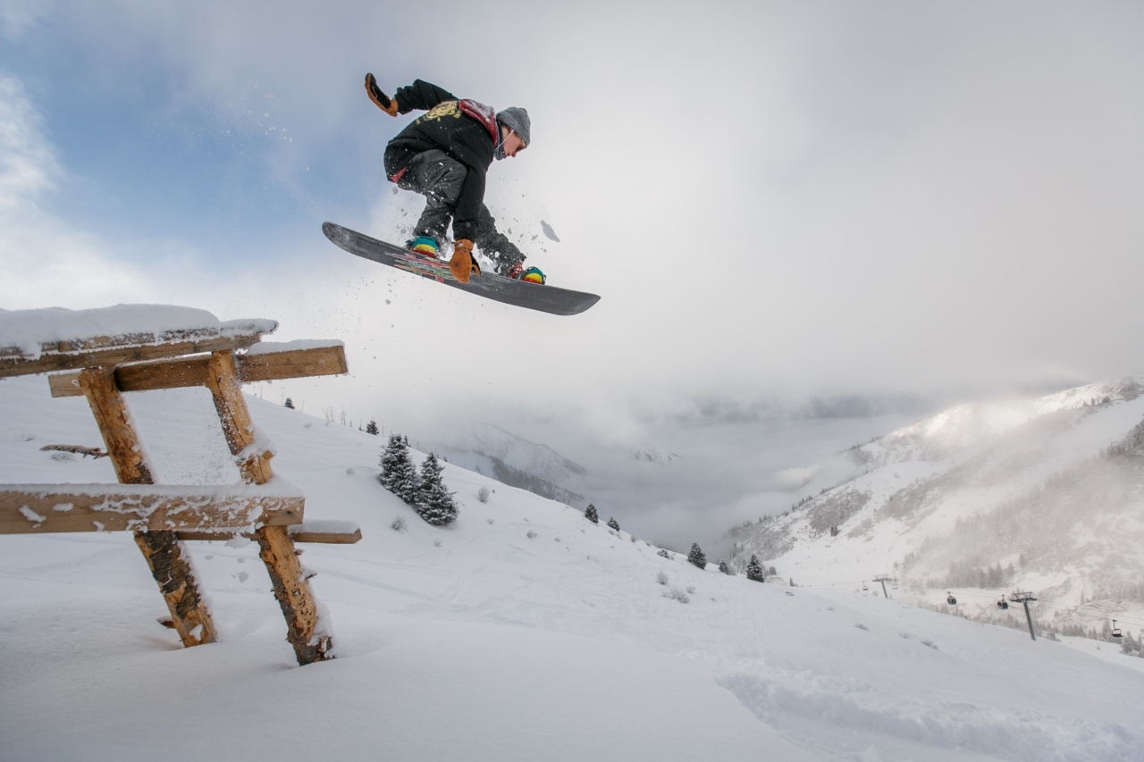 Dog took his snowboard and hit the slopes