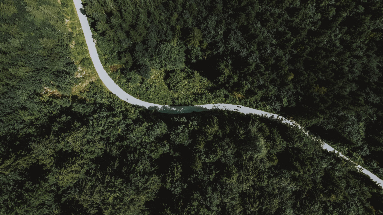 Track Your Progress to Thinness