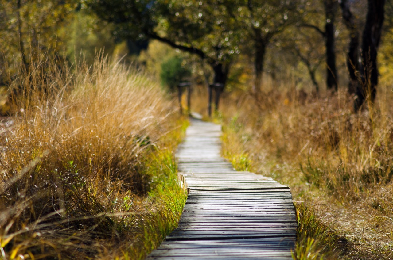 Discover the season that uplifts your mood