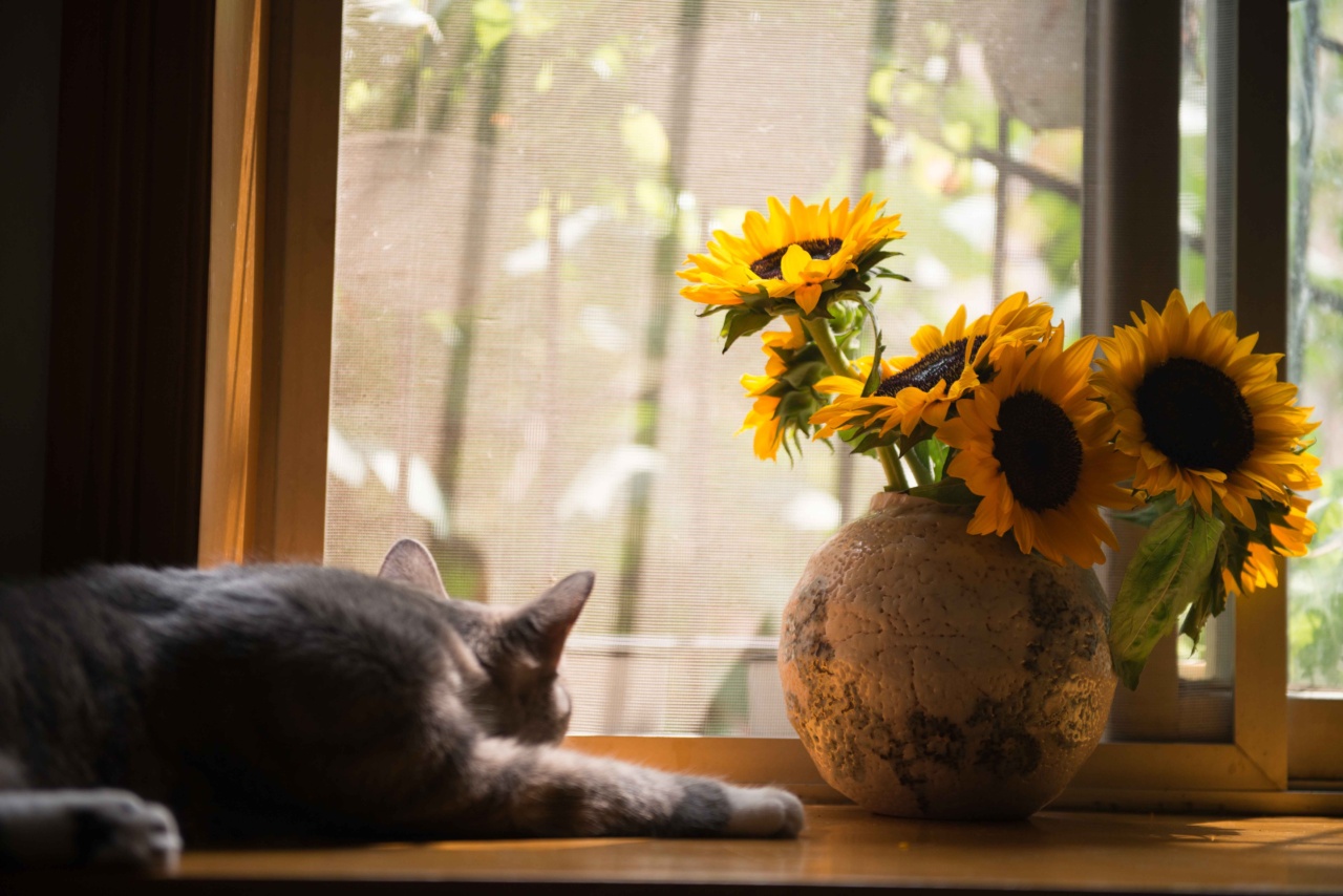 The Menace of Kitzia: The Cat Who Rules the House