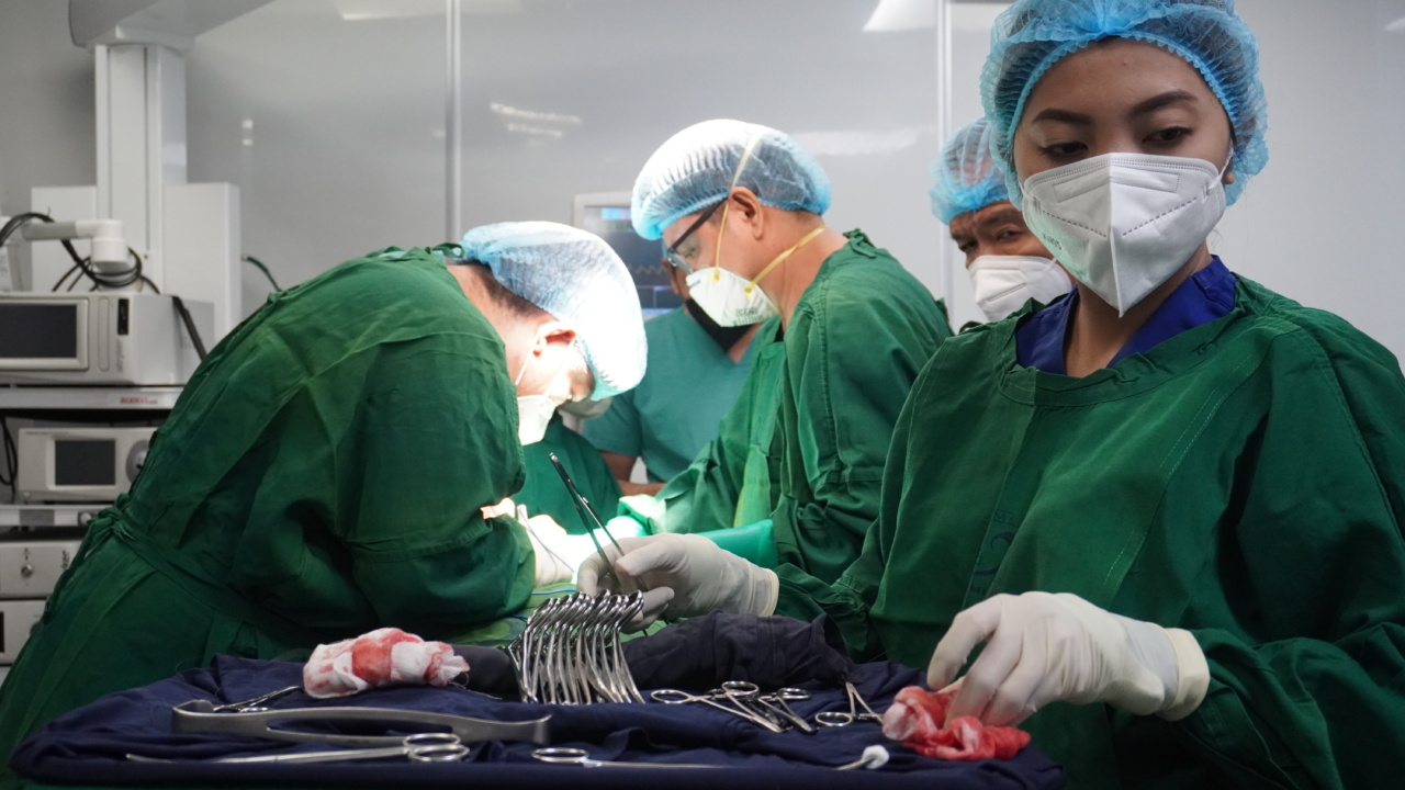 They perform surgery with… mechanized ants
