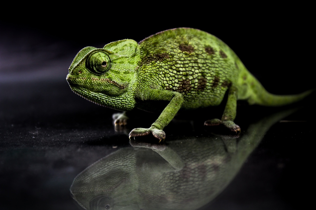 The dark side of green tea: side effects you should know about