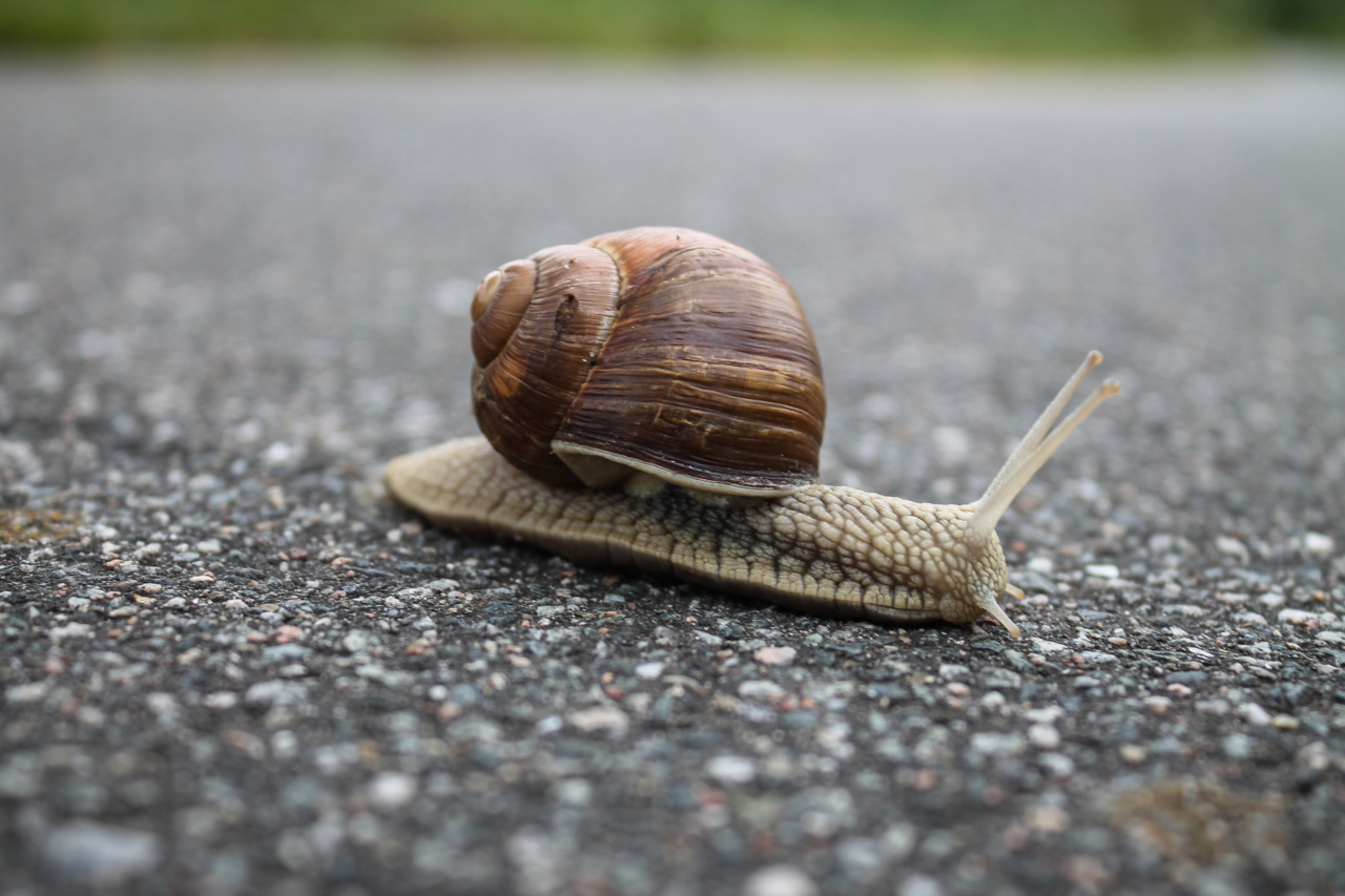 Moving with Parkinson’s: Practical Tips for Slowing Progression